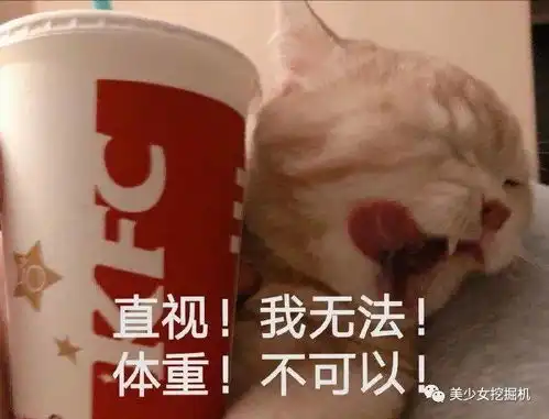 头像表情包大户,全网萌宠顶流,每天都有百万明星粉丝催更