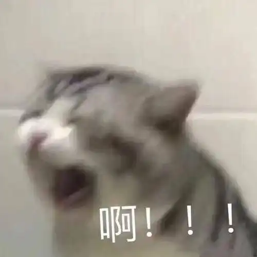 啊,神在白天做梦,太阳从西边升起