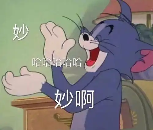 懂闽丨猜猜看啥是气死猫