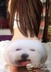 天天向人伸手要钱,跟大学生还有什么区别
