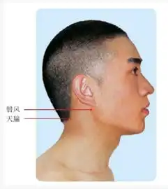 三焦经不可不知的穴位