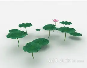 池塘荷叶3d模型下载