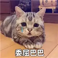 委屈巴巴表情包app安卓下载