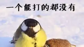 无敌小奶球绝地求生大逃杀23人滋水枪竟然吃鸡了