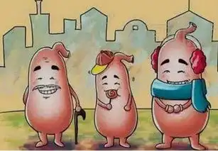 健脾加祛湿,胖子变瘦子,7天见效