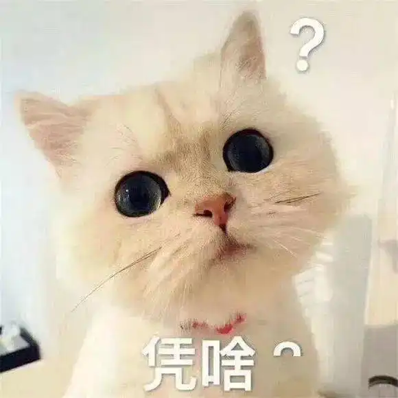 表情包一生随性,喜欢就好