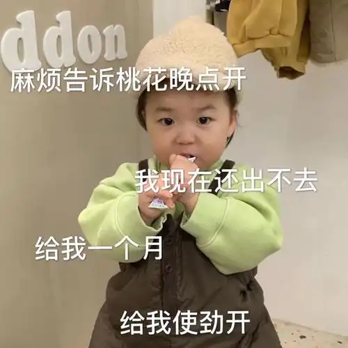 情人节单身狗表情包麻烦桃花晚点开,我现在还在家出不去