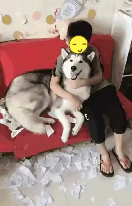 测试一个超长简介的文章