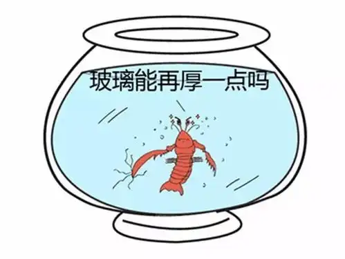 身为最火表情包暴击力满格的皮皮虾,它的天敌竟然是.....