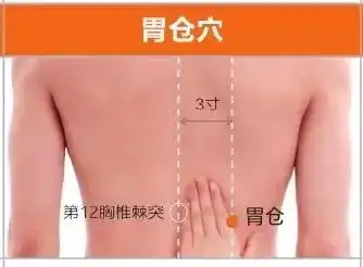 足太阳膀胱经67个针灸穴位图,高清穴位图解