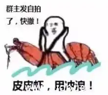 皮皮虾表情包完整版下载pdd皮皮虾使用绝招表情包大合集版ucbug下载站