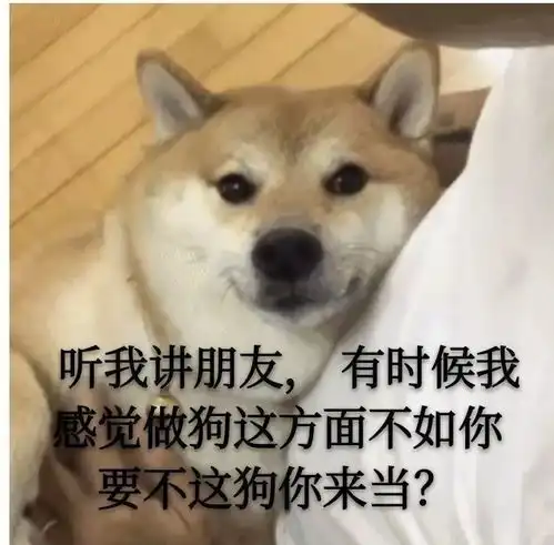 今日沙雕表情吧包就是他