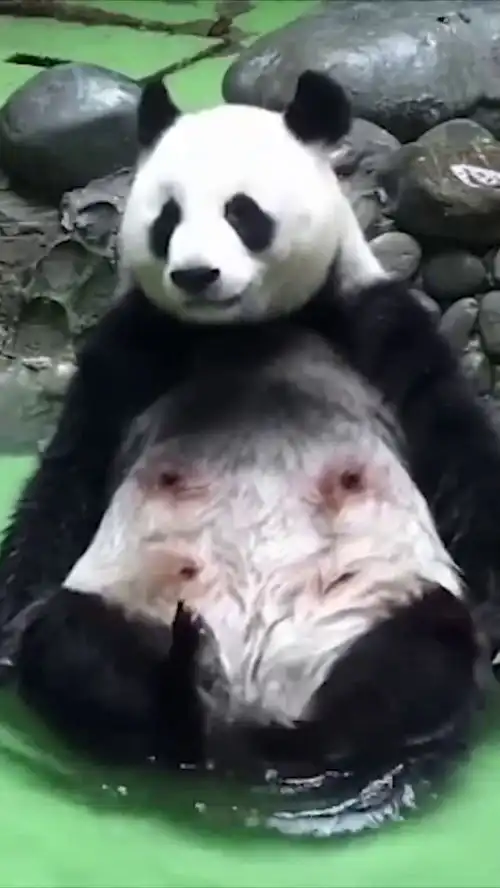 测试一个超长简介的文章