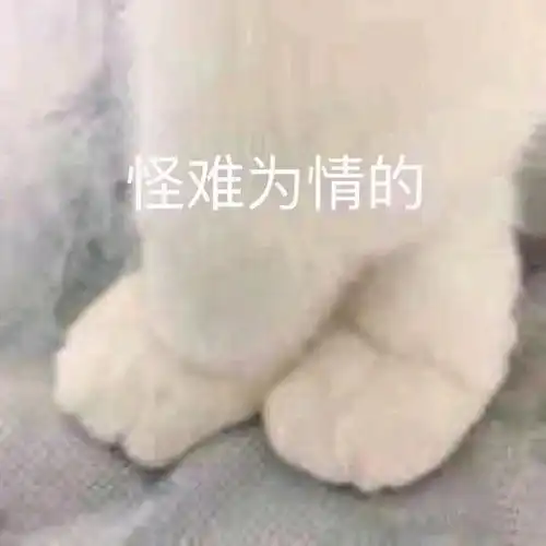 超好看的动漫情侣头像第5期