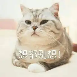 最火最搞笑的动物头像带字2018最新可爱的猫咪微信头像
