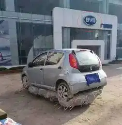 国产车主路边乱停车,提车时心情瞬间跌进谷底