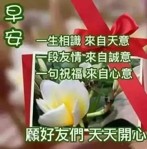 特别漂亮的早上好图片,动态早上好图片大全,新的一天愉快的心情陪伴你