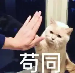 废柴青年的三大法宝