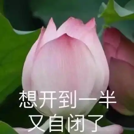 老板说年底发年终奖,竟是春晚淘宝的清空购物车,年后走不走人