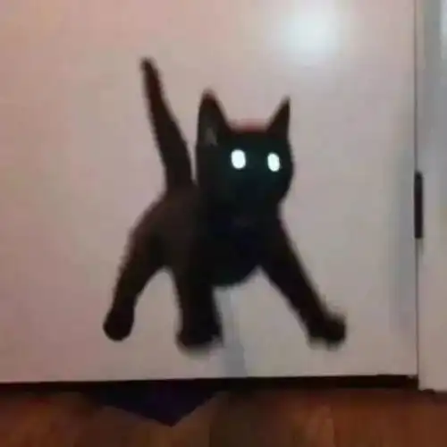 有没有看上去酷酷的男生猫头像