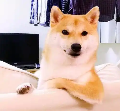测试一个超长简介的文章