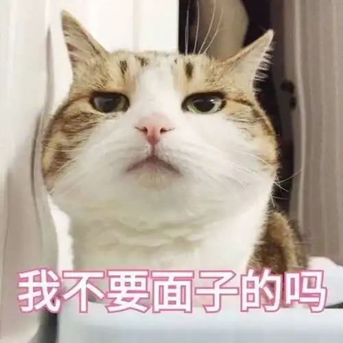 养女儿费钱,养儿子哈哈哈哈哈哈