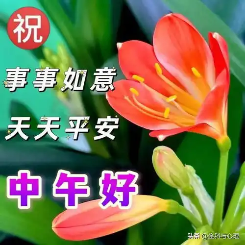 把每睡醒后的早晨当成一件礼物,把每个开心后的微笑当成一个习惯