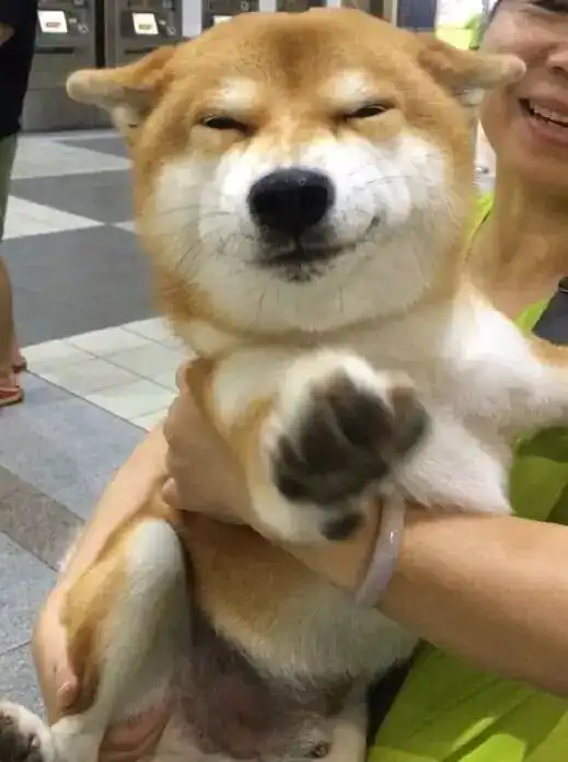 测试一个超长简介的文章