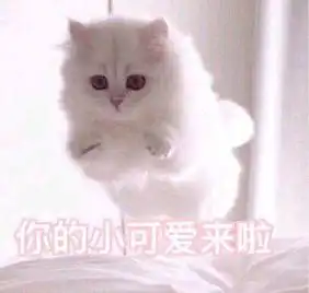 都在说彩虹合唱团跨年直播拉满好奇心,到底怎么玩,你研究过没