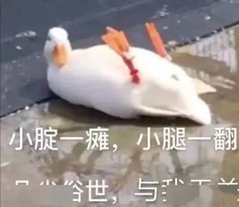 寒假来了丨几点了,还不起床