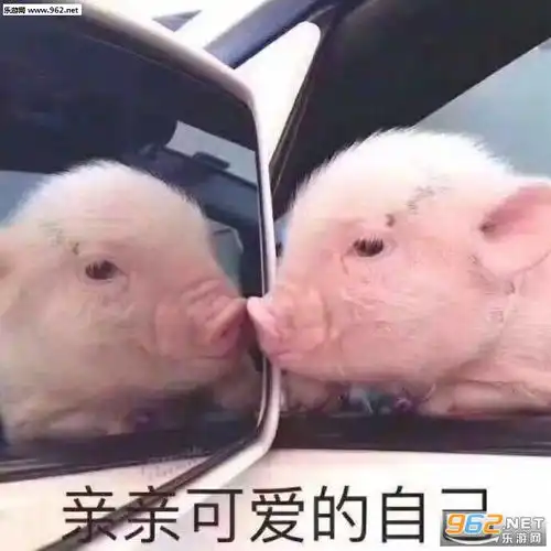 网上虚拟交心不宜图片亲亲可爱的自己猪图片表情包下载乐游网游戏下载