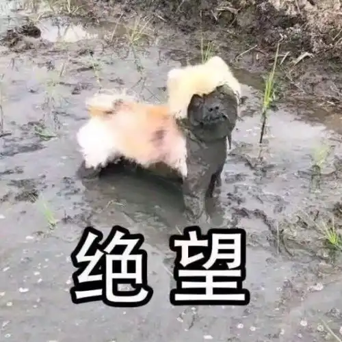 15款网红气垫产品实测,最难用的居然是它