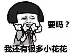 风尚叮咚贴心仙人掌小管家来为你换新衣服啦