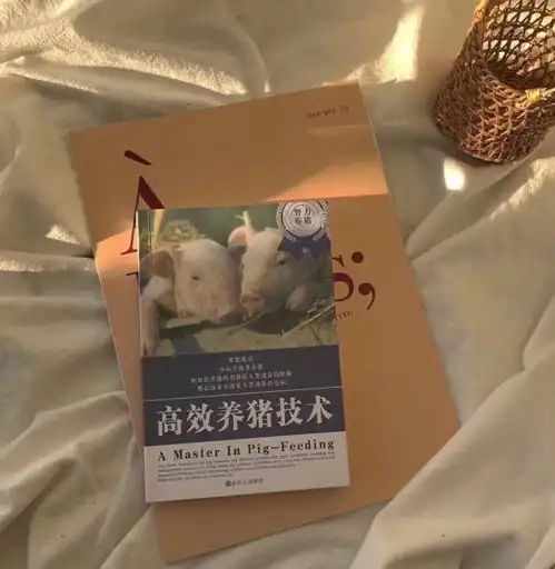 特别的背景图和你的故事四个字相识一场