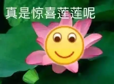 生命无价酒后禁驾酒驾奇葩事