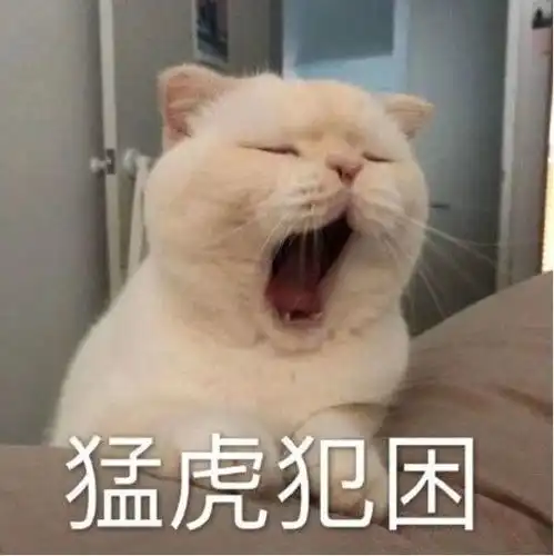 假期吃饱了就犯困你可能吃了这些