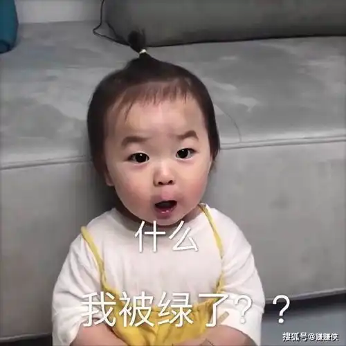 最新可爱搞笑表情包图片终究还是一个人扛下了所有