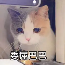 地球都是个成年球了,为啥老找不到对象