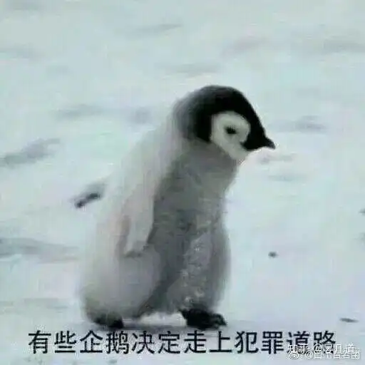 现在真的拍耽改剧成了男明星爆火的捷径了吗