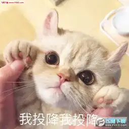 扁鹊三连表情包下载扁鹊三连治不了等死吧告辞表情下载飞翔下载
