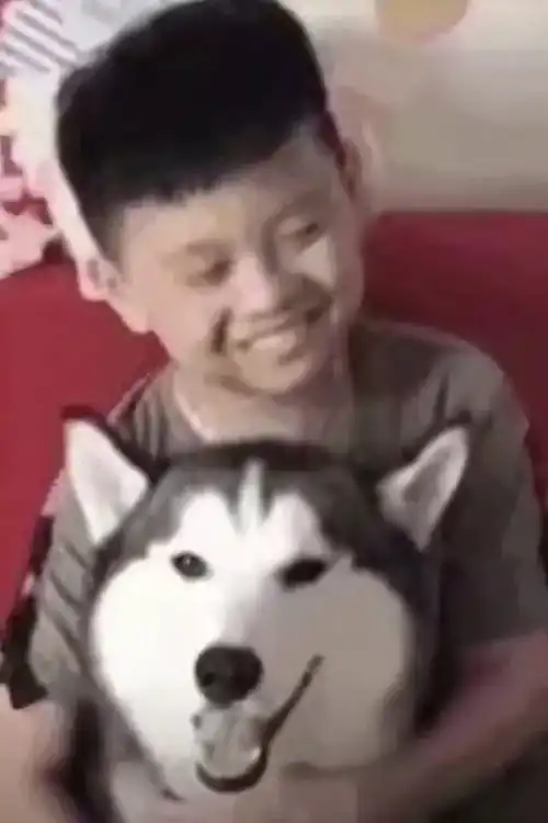 年度戏剧大片还有几小时就要正式上映但是在滨湖却是.....