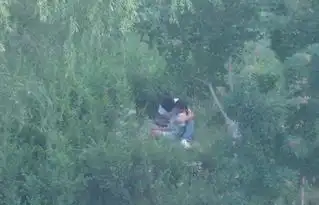 鹿寨县一男子为博欢心烧车情侣间的疯狂行为小树林玩野战