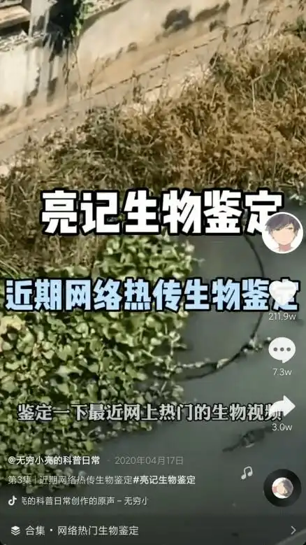 7天吸粉111万,条条视频都爆款,无穷小亮的科普日常是如何做到的