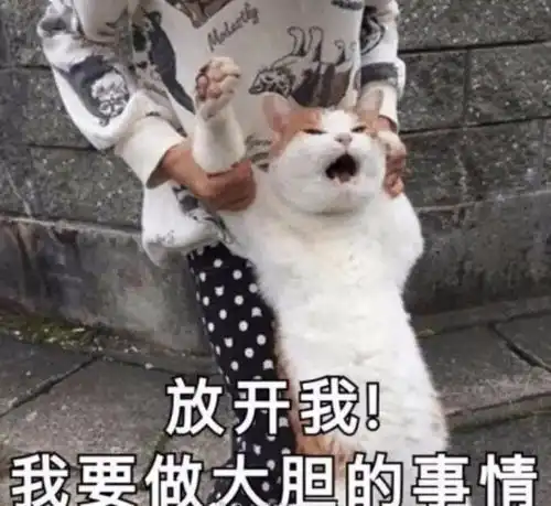豹式无语