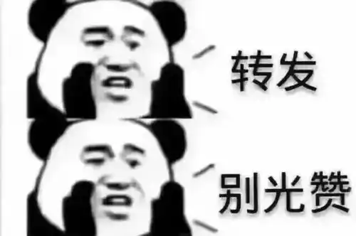 测试一个超长简介的文章