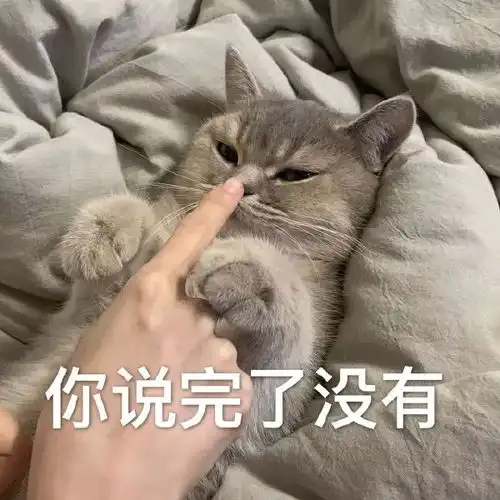 猫咪表情包投降,投降,我投降