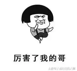永远不要嘲笑一个胖子,因为每个胖子都是潜力股