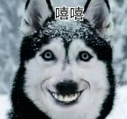 30个让我笑出鹅叫的表情包来了,来收图吧,不要抢我的辣条