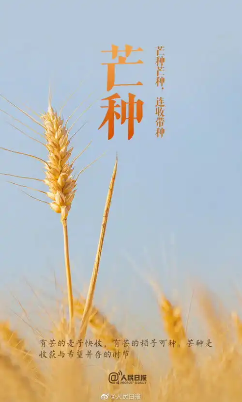 今日芒种,明日高考愿每位考生播种当下,收获未来