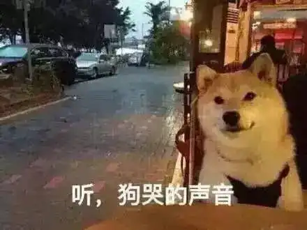 看完七夕奇葩新闻大全,牛郎织女整个人都不好了